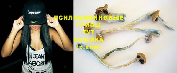 apvp Бугульма