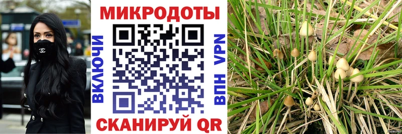 omg ссылки  Гусев  Галлюциногенные грибы GOLDEN TEACHER 